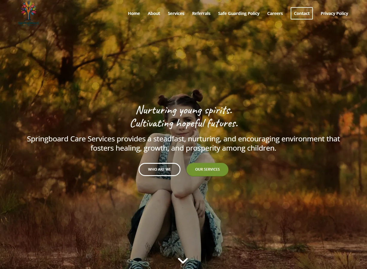 Springboard Care Services website screenshot built by Web Spinner UK