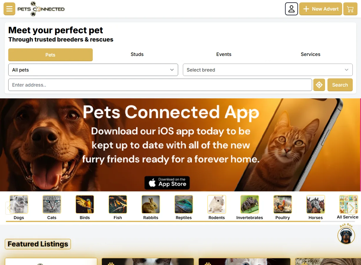 Pets Connected Staging website screenshot built by Web Spinner UK