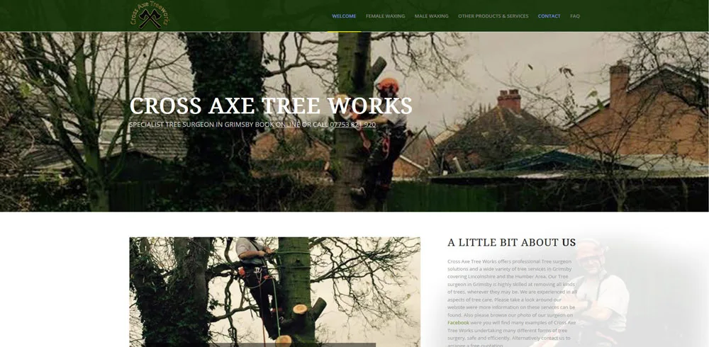 Professional Web Development Near Me in Bedlington by Webspinner UK