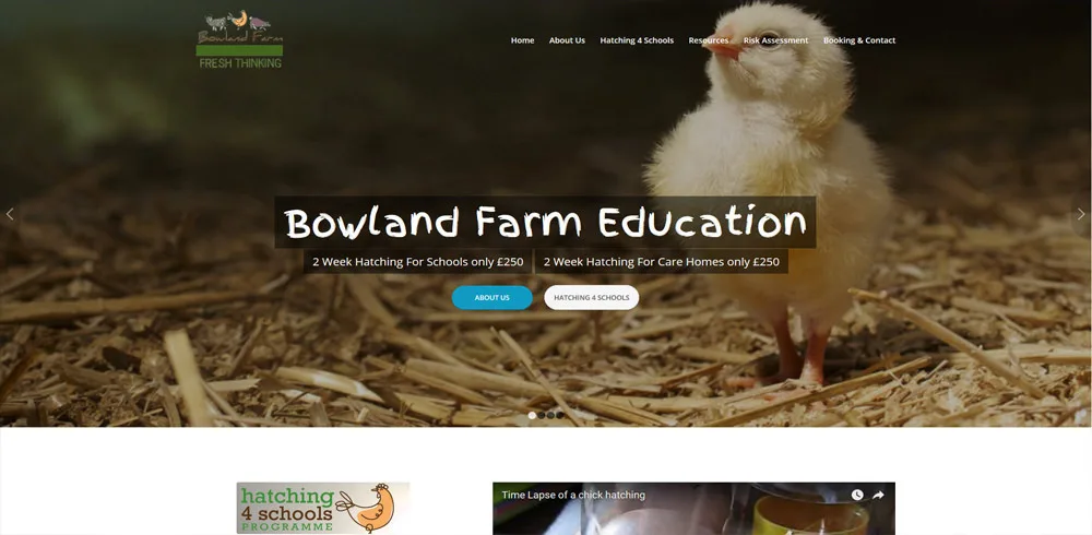 Professional Web Development Near Me in Bedlington by Webspinner UK